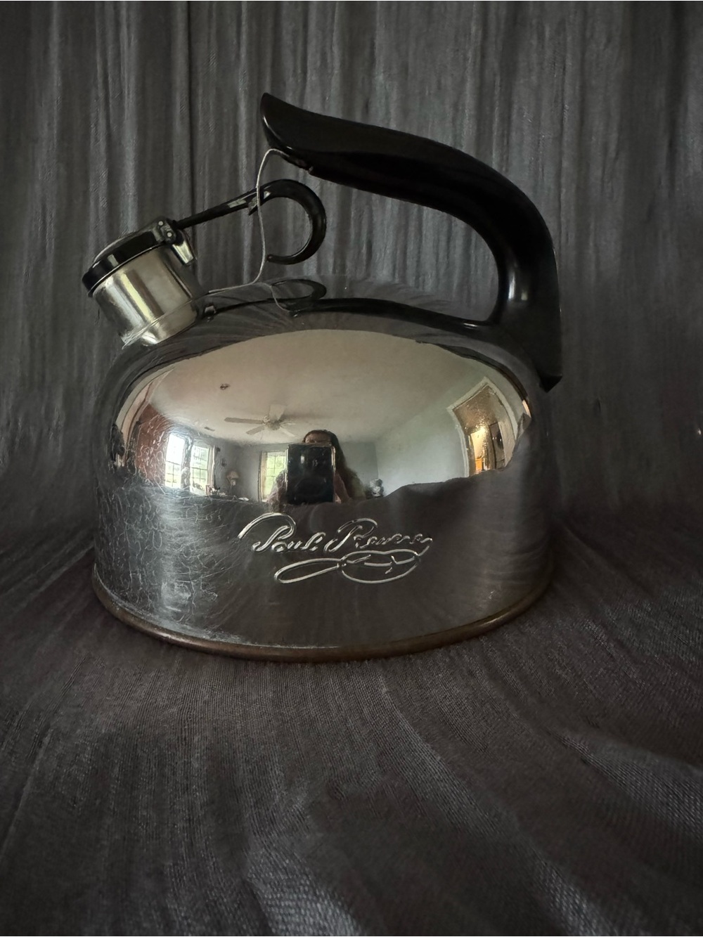 Paul Revere Stainless Steel Tea Kettle with Black Handle